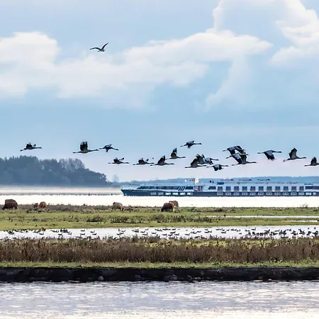 Apartman Meerzeit An Der Seebruecke Zingst